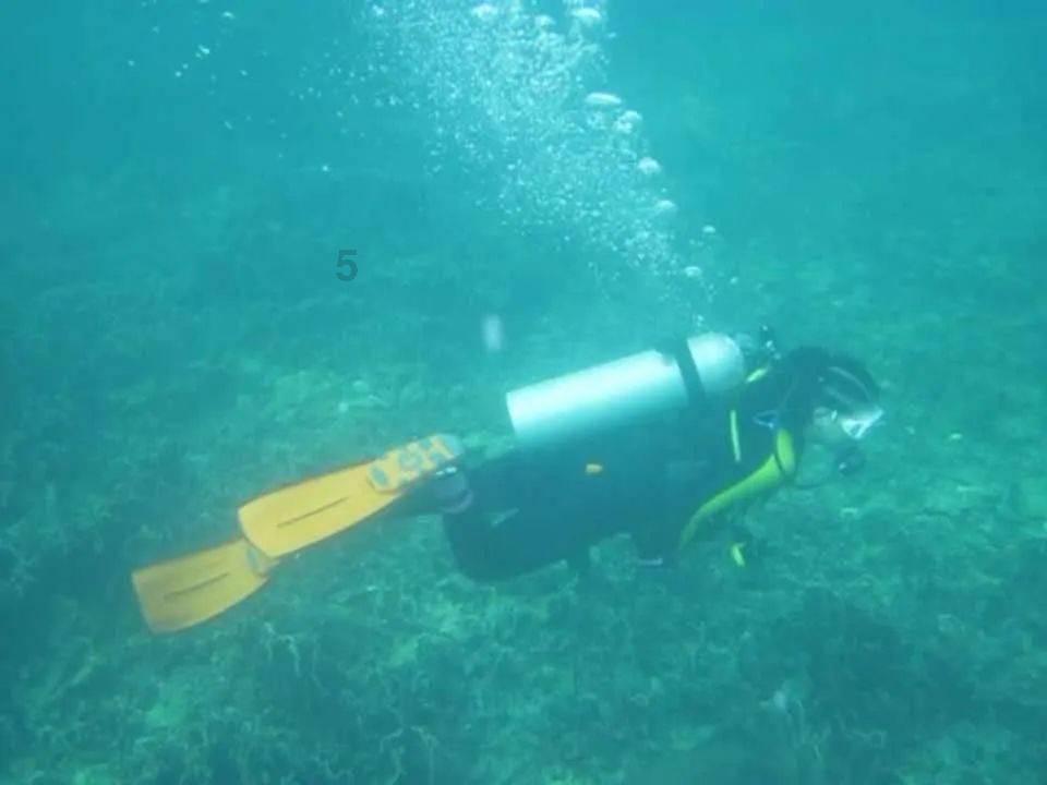 我心中的警察
